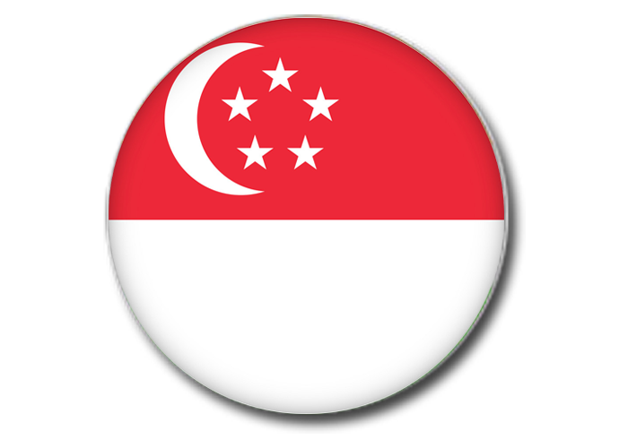 singapore-document-attestation-uae